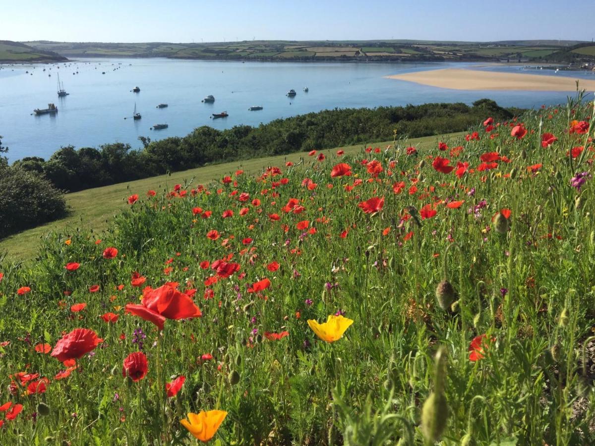 Tor View Panzió Padstow Kültér fotó